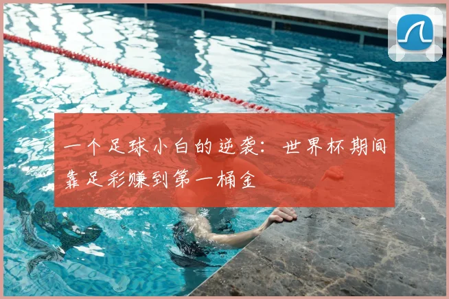 一个足球小白的逆袭：世界杯期间靠足彩赚到第一桶金