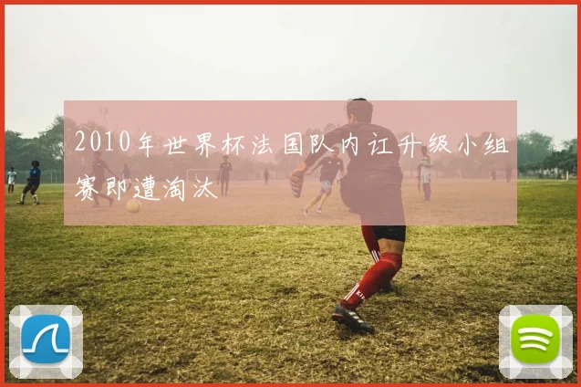 2010年世界杯法国队内讧升级小组赛即遭淘汰