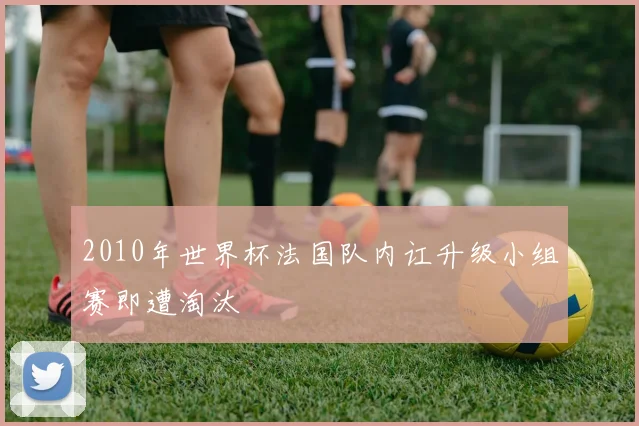 2010年世界杯法国队内讧升级小组赛即遭淘汰