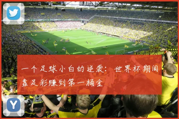 一个足球小白的逆袭：世界杯期间靠足彩赚到第一桶金