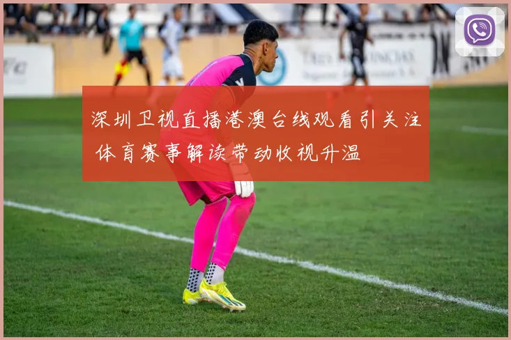 深圳卫视直播港澳台线观看引关注 体育赛事解读带动收视升温