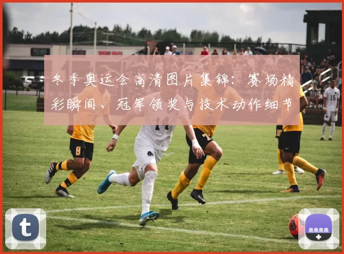 冬季奥运会高清图片集锦:赛场精彩瞬间、冠军领奖与技术动作细节