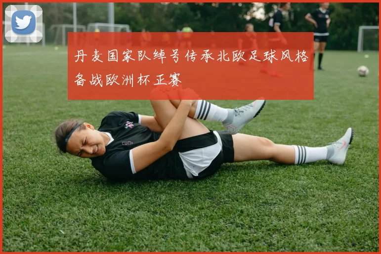 丹麦国家队绰号传承北欧足球风格备战欧洲杯正赛