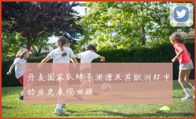 丹麦国家队绰号渊源及其欧洲杯中的历史表现回顾