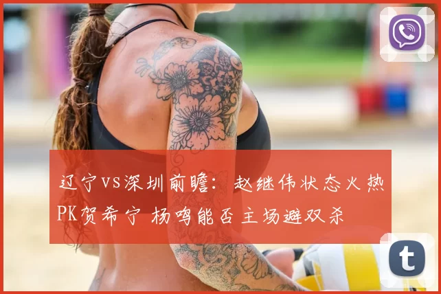 辽宁vs深圳前瞻：赵继伟状态火热PK贺希宁 杨鸣能否主场避双杀