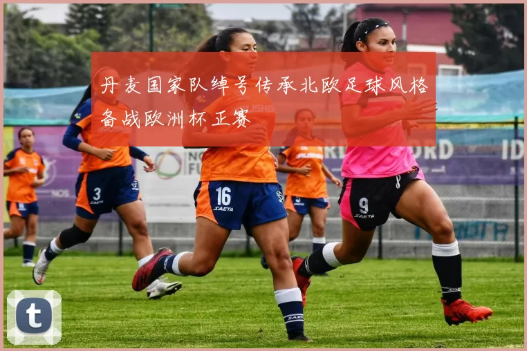 丹麦国家队绰号传承北欧足球风格备战欧洲杯正赛