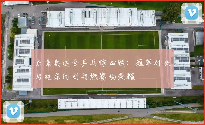 东京奥运会乒乓球回顾:冠军对决与绝杀时刻再燃赛场荣耀