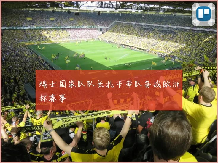 瑞士国家队队长扎卡率队备战欧洲杯赛事